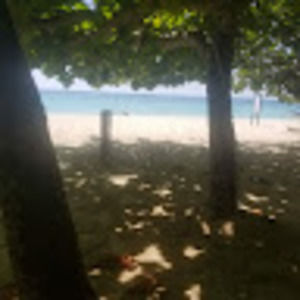 Meet your Posher, Jayden jj